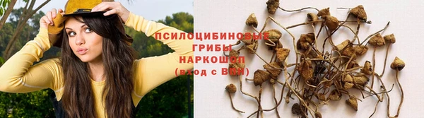 мдма Богданович