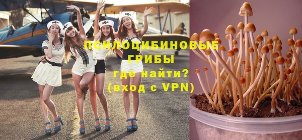 мдма Богданович