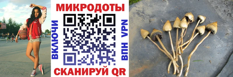 где найти наркотики  mega как войти  Псилоцибиновые грибы Cubensis  Межгорье 