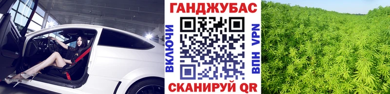 Марихуана сатива  Межгорье 